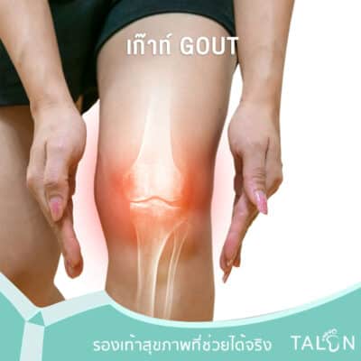 เก๊าท์ Gout