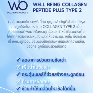 Well Being Collagen Peptide Plus Type 2