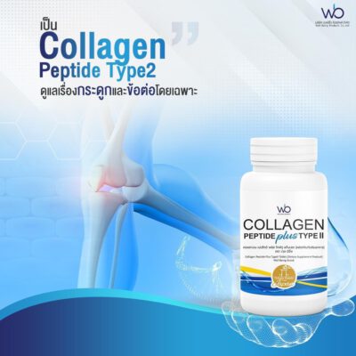 ข้อเข่าเสื่อม