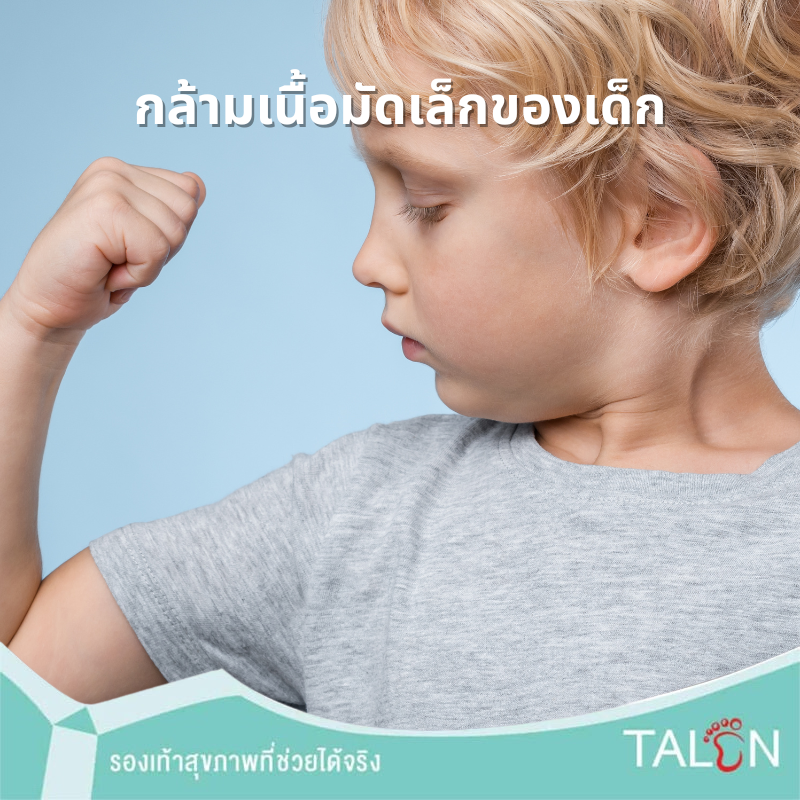 กล้ามเนื้อมัดเล็กของเด็ก