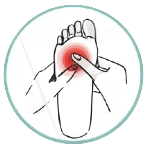 Metatarsal
