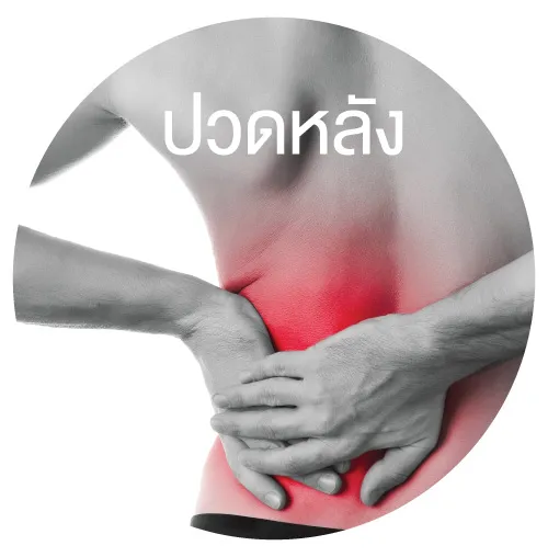 ปวดหลัง